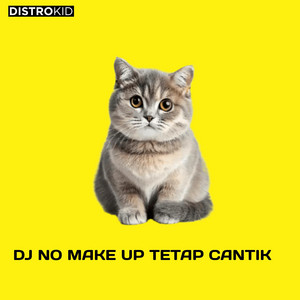 MR EWIK - DJ NO MAKE UP TETAP CANTIK (SAMA SAMA SUKA TAPI NUNGGU APA)