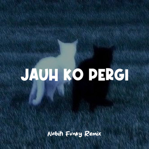 Nabih Fvnky - Jauh Ko Pergi
