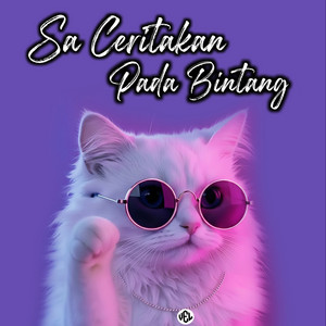 Vel Remixer - Sa Ceritakan Pada Bintang