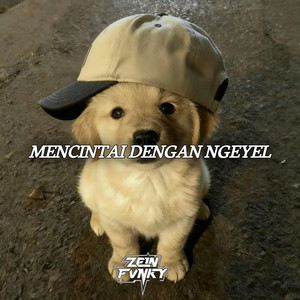 Zein Fvnky - Mencintai Dengan Ngeyel