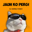 DJ Kopra Fvnky - jauh ko pergi