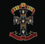 Guns N' Roses - Paradise City