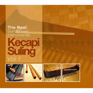 Nano S - Potret Manehna