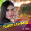 ALVI ANANTA - Nutup Lawang - Koplo Version