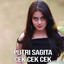 Putri Sagita - Cek Cek Cek
