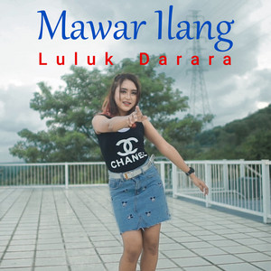Luluk Darara - Mawar Ilang