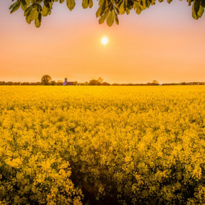 Lagu Galau - Menahan Rasa Sakit