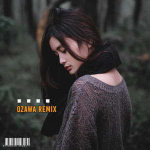 Ozawa Remix - Pemberi Harapan Palsu - Remix