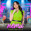 Difarina Indra Adella - Nemu