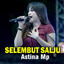 Astina Mp - Selembut Salju