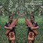 Helmy Trianggara - Beautiful Land 2