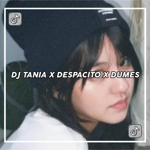 DJ Rexzy - DJ TANIA X DESPACITO X DUMES MENGKANE