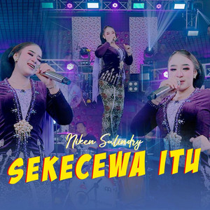 Niken Salindry - Sekecewa Itu
