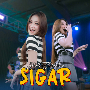 Shinta Arsinta - Sigar