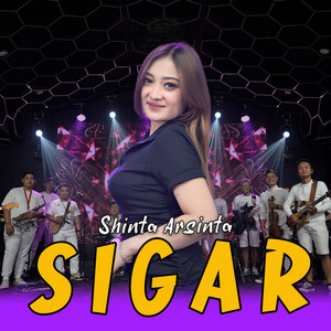 Shinta Arsinta - Sigar