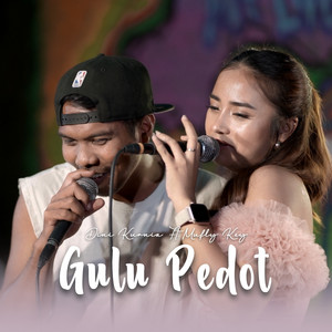 Dini Kurnia, Mufly Key - Gulu Pedot