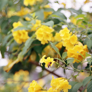 Nuh... - Simpan Dulu Rindu