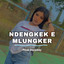 PTROK DISCJOKEY - Dengkek e Mlungker
