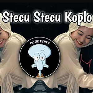 Plitik Fvnky - Stecu Stecu Koplo