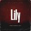 Dj Valka - Lily Breakbeat