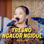 PUTRI GISELLA - Tresno Ngalor Ngidul - Live