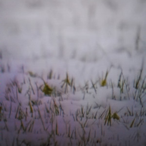 ranum - aku mencitaimu