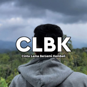 Dj Faizin - CLBK - Cinta Lama Bersemi Kembali
