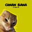 DJ Dadan Rmx - Ciinan Bana