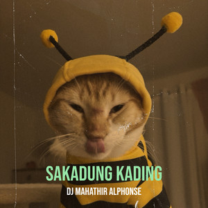 DJ Mahathir Alphonse - SAKADUNG KADING - Instrumental