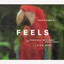 Calvin Harris, Pharrell Williams, Katy Perry, Big Sean - Feels (feat. Pharrell Williams, Katy Perry & Big Sean)