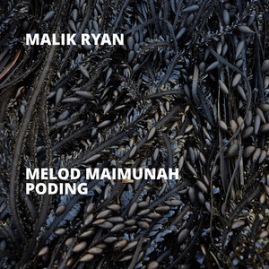 Malik Ryan - Melod Maimunah Poding