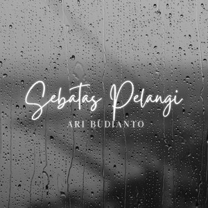 Ari Budianto - Sebatas Pelangi