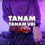 Jay Stefan - Tanam Tanam Ubi