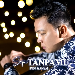 Harry Parintang - Sepi Tanpamu