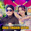 Demy Yoker, Dini Kurnia - Joko Tingkir Satus