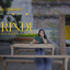 Dian Sorowea, Chesylino - Rindu
