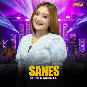 Shinta Arsinta - Sanes