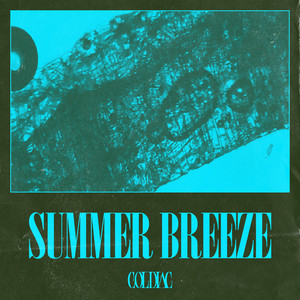 Coldiac - Summer Breeze