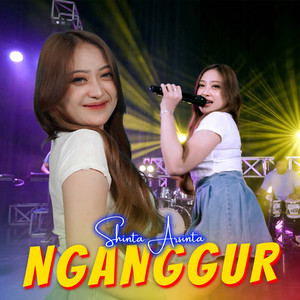 Shinta Arsinta - Nganggur