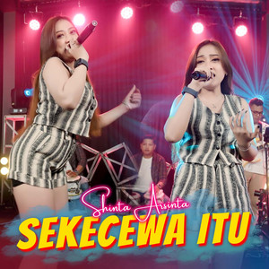 Shinta Arsinta - Sekecewa Itu