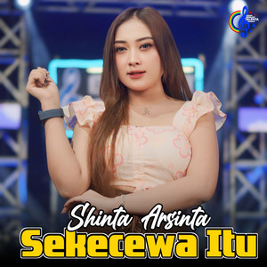 Shinta Arsinta - Sekecewa Itu