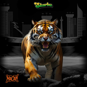 Skarbu - Macan
