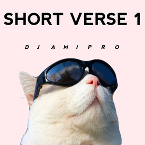 DJ Ami Pro - Oh Sayang Kane