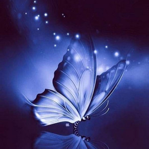 Sue Shamsudin - Kasih Iban Lasa