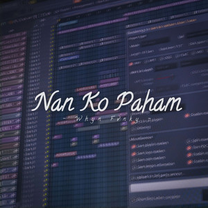 Whyn Fvnky - NAN KO PAHAM JEDAG JEDUG