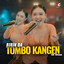 Ririn DA - Tombo Kangen