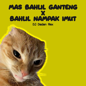 DJ Dadan Rmx - Mas Bahli Ganteng X Bahlil Nampak Imut