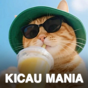 AndryMax - Kicau Mania