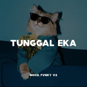 Mocil Fvnky V2 - Tunggal Eka