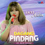 Devi Aldiva - Dagang Pindang